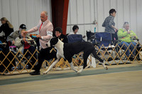 AM Conf. Show- Breed- GDCMD 2015