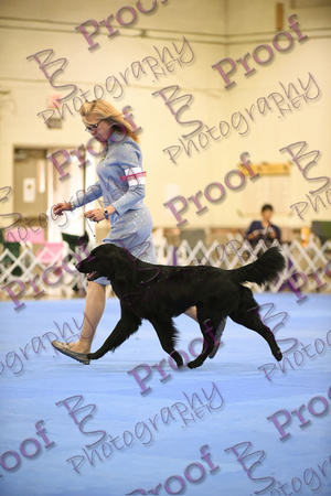 FCRSANationals2018byBSPhotography-0056