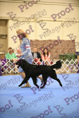 FCRSANationals2018byBSPhotography-0064