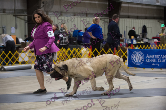 TurkeyCluster2018ProofsbyBSPhotography-0393