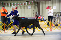 FallfestProofsbyBSPhotography-2116