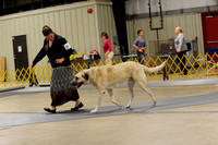 Special after Breed Classes - ASDCA Nationals 2015