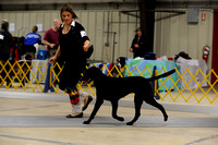Curly-Coated Retrievers - Friday Oct 9- Autumn Classic