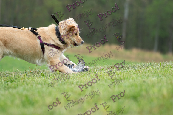 ReedsRescuebyBSPhotography-9669