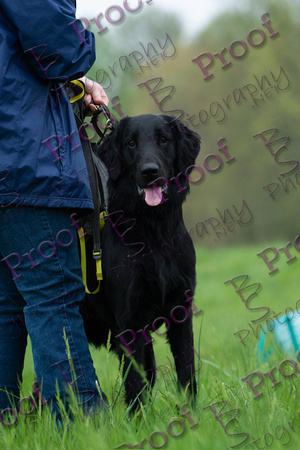 ReedsRescuebyBSPhotography-9652