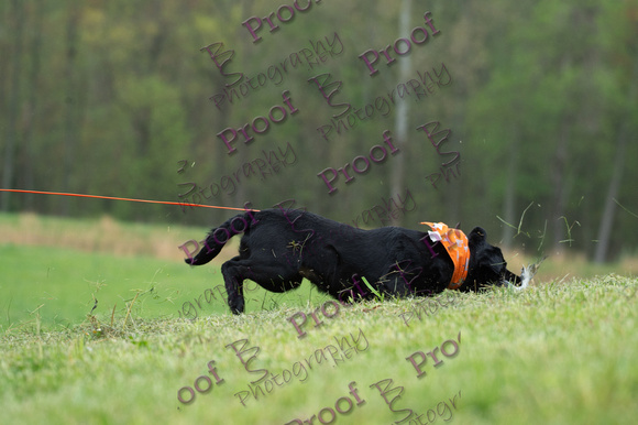 ReedsRescuebyBSPhotography-9740