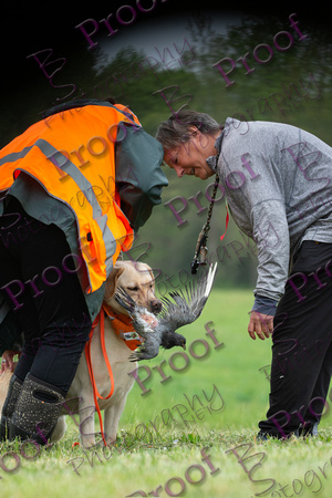 ReedsRescuebyBSPhotography-9845