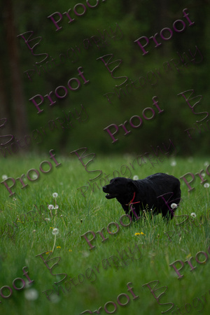 ReedsRescuebyBSPhotography-0717