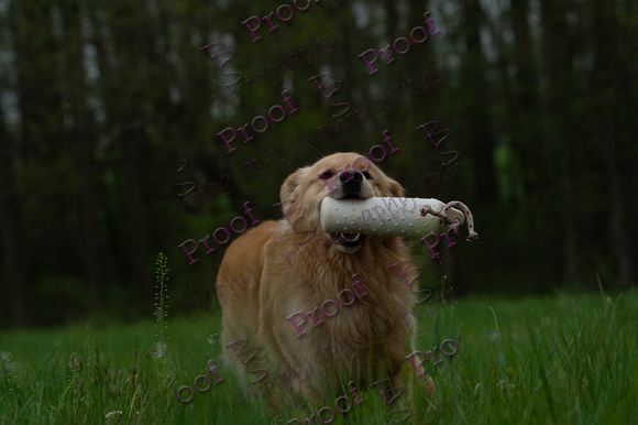 ReedsRescuebyBSPhotography-0607