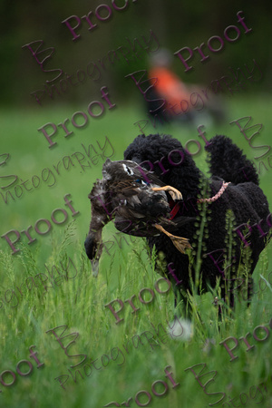 ReedsRescuebyBSPhotography-0333