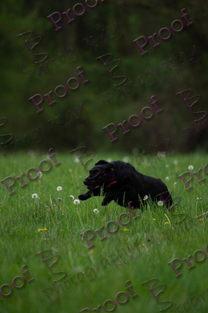 ReedsRescuebyBSPhotography-0714