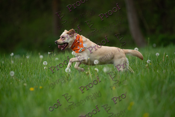 ReedsRescuebyBSPhotography-0958