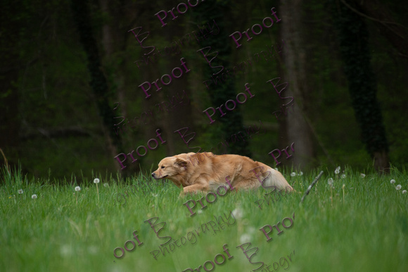 ReedsRescuebyBSPhotography-0486