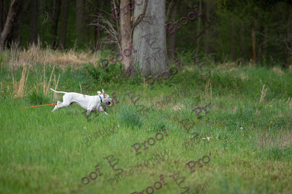 ReedsRescuebyBSPhotography-2256