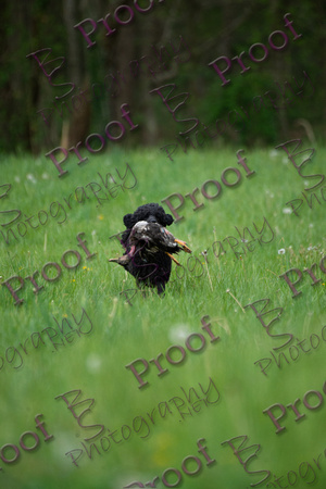 ReedsRescuebyBSPhotography-0280