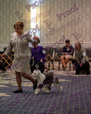 TTCANational2023byBSPhotography-0056