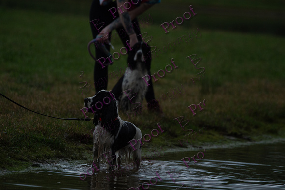 ReedsRescuebyBSPhotography-2465