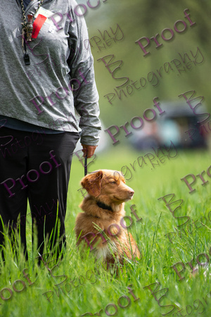 ReedsRescuebyBSPhotography--2