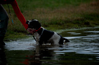 ReedsRescuebyBSPhotography-2463