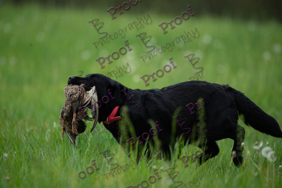 ReedsRescuebyBSPhotography-0785