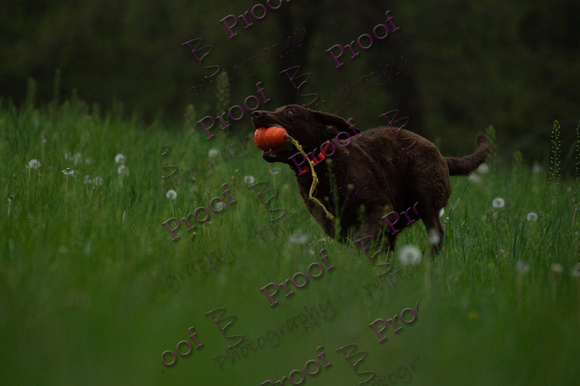 ReedsRescuebyBSPhotography-0652