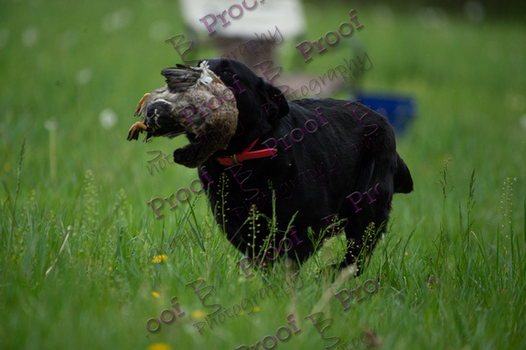 ReedsRescuebyBSPhotography-0765