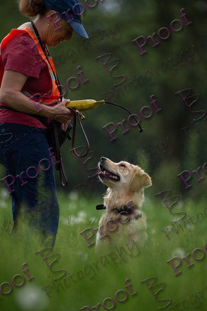ReedsRescuebyBSPhotography-1276