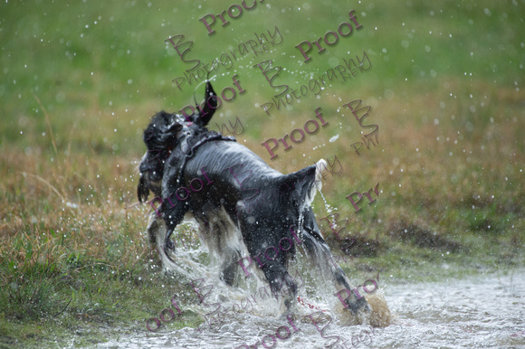 ReedsRescuebyBSPhotography-2696