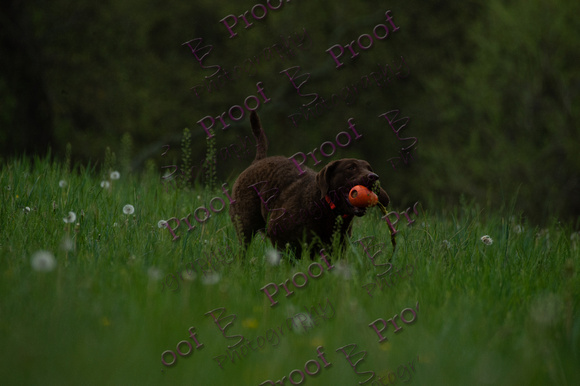 ReedsRescuebyBSPhotography-0643