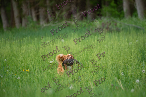 ReedsRescuebyBSPhotography-0205