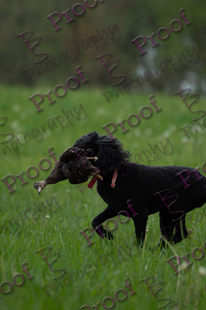ReedsRescuebyBSPhotography-2011