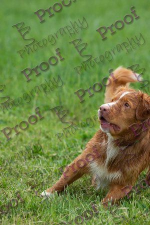 ReedsRescuebyBSPhotography-3004