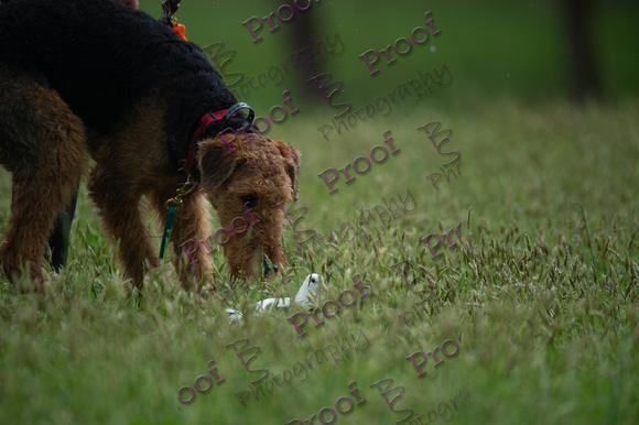 ReedsRescuebyBSPhotography-2546