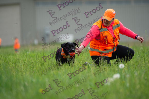 ReedsRescuebyBSPhotography-1341