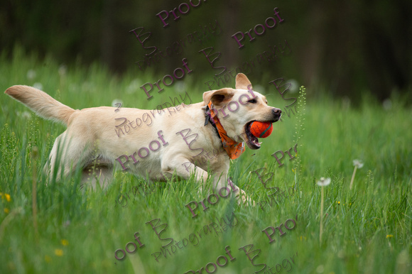 ReedsRescuebyBSPhotography-0855