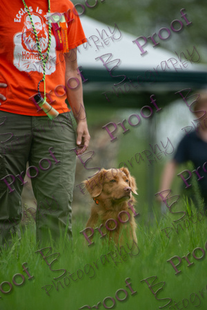 ReedsRescuebyBSPhotography-1445