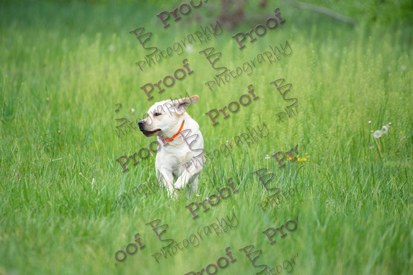 ReedsRescuebyBSPhotography-0362