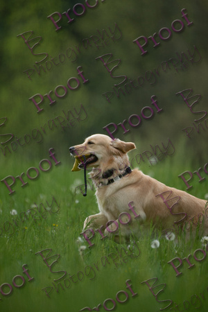 ReedsRescuebyBSPhotography-1255