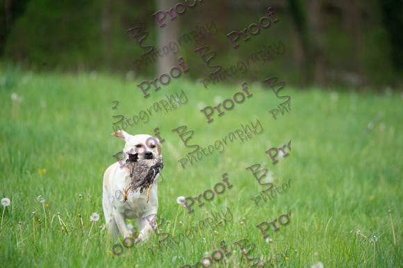 ReedsRescuebyBSPhotography-0394