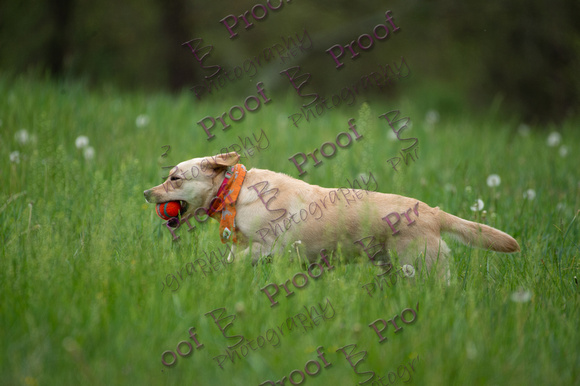 ReedsRescuebyBSPhotography-0989