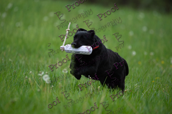 ReedsRescuebyBSPhotography-0738
