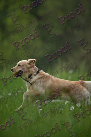 ReedsRescuebyBSPhotography-1256