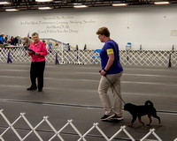 AOC Sun May 21, 2023 Candids- AOC Spring Obedience Trial- Amsterdam, NY