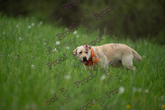ReedsRescuebyBSPhotography-0917