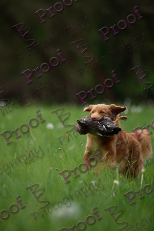 ReedsRescuebyBSPhotography-1566