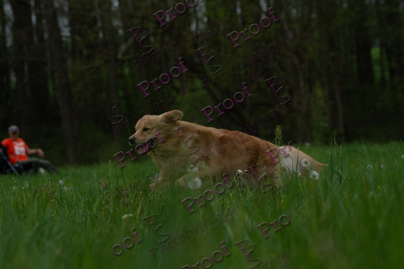 ReedsRescuebyBSPhotography-0603