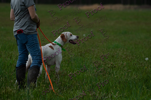 ReedsRescuebyBSPhotography-2293