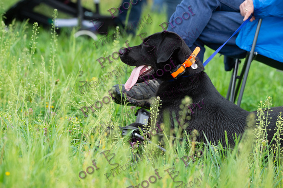 ReedsRescuebyBSPhotography-9968