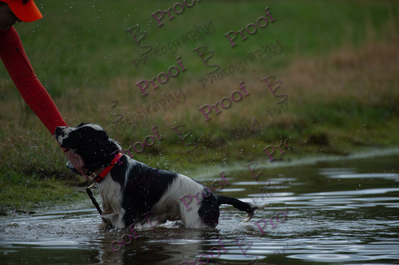 ReedsRescuebyBSPhotography-2459