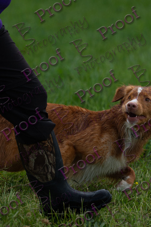 ReedsRescuebyBSPhotography-2970